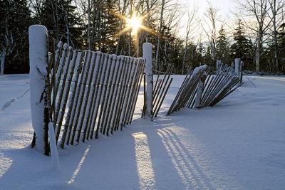 Fence at Sunrise