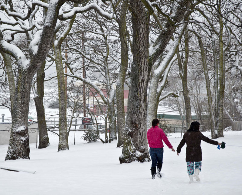 walk in the park