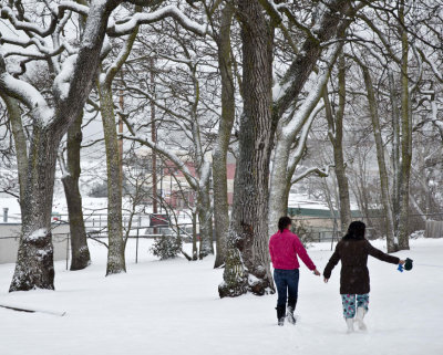 walk in the park