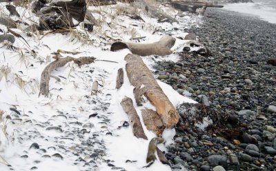 frozen beach