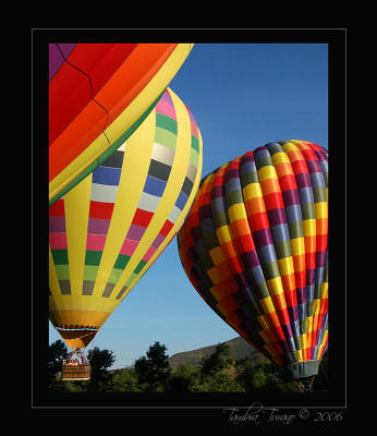 Temecula Balloon & Wine Festival 2006