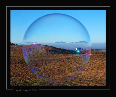 Bubble View