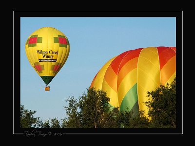 Wilson Creek Winery Balloon