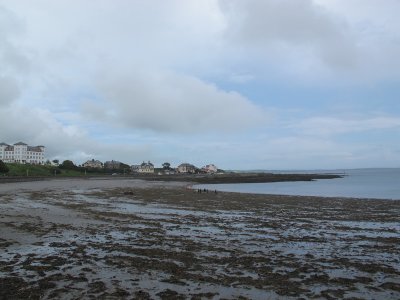 The seaweed we ploughed through