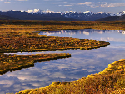 Fall On Denali Highway