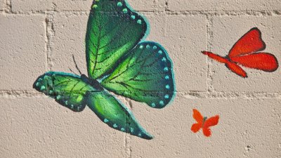 Butterflies at the Laundromat