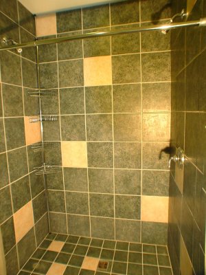 Downstairs Shower