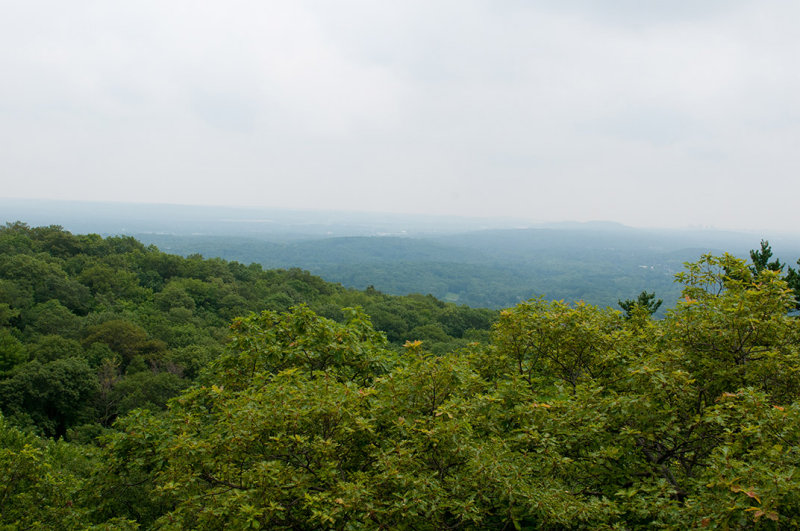 6_D338803.jpg