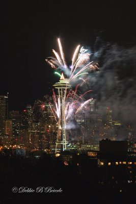 Space Needle 09