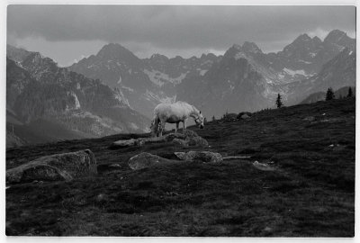 Scan-091212-0015.jpg