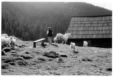 Scan-091212-0018.jpg