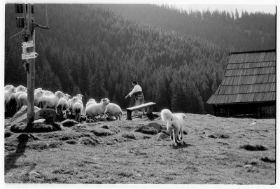 Scan-091212-0019.jpg