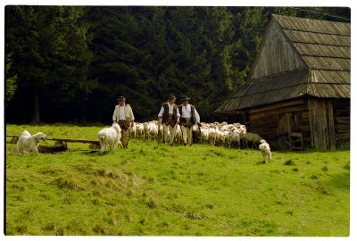 Scan-091212-0070.jpg
