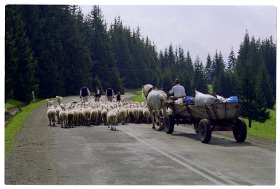 Scan-091212-0072.jpg