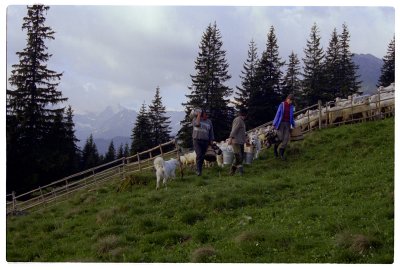 Scan-091212-0077.jpg