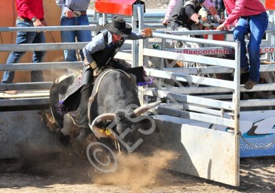 8_seconds_bull_riding_rangiora