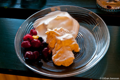Ewa hade tagit med glass till dessert.