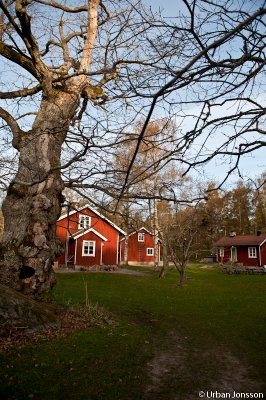 En riktigt fin vrmorgon med fgelkvitter.