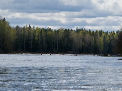 Dallven_2012-16.jpg