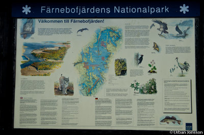 Dallven_2012-20.jpg