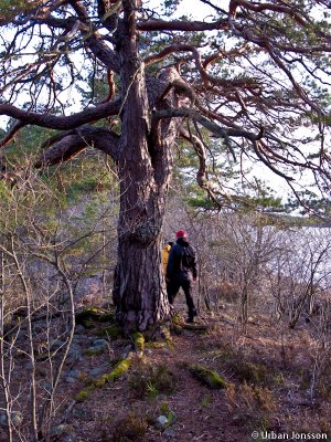 Dallven_2012-25.jpg