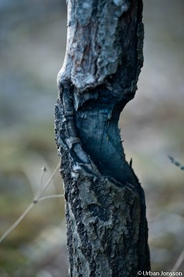 Dallven_2012-37.jpg