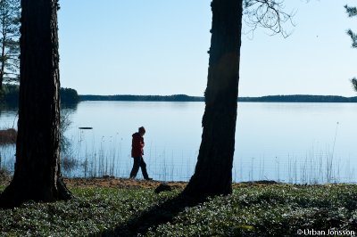 Dallven_2012-44.jpg