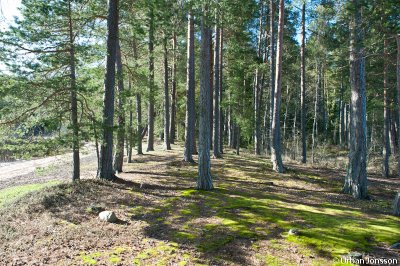 Dallven_2012-45.jpg