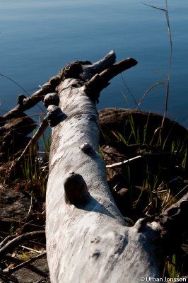 Dallven_2012-47.jpg