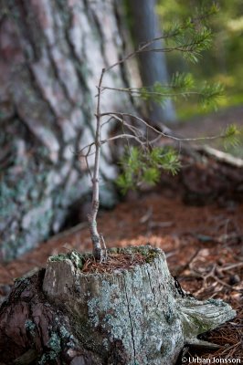 Dallven_2012-48.jpg