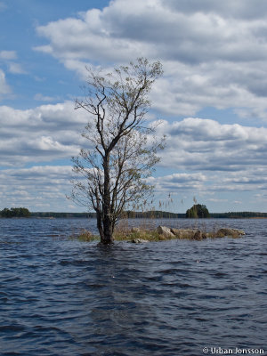 Dallven_2012-66.jpg