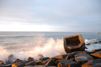 DSC_0069.JPG
