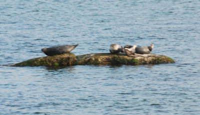 DSC_0116_edited.JPG