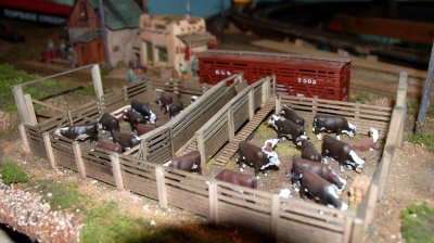 Al Shol Layout 11_25_11 4.JPG