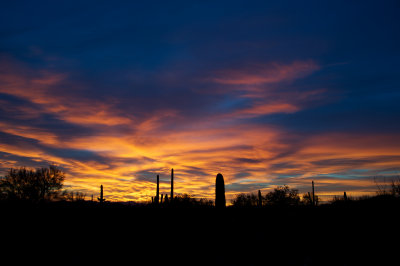 DESERT SUNSET