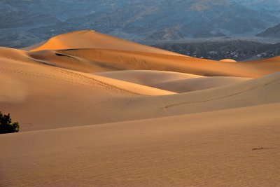 Death Valley Dunes I