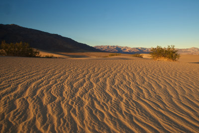 Death Valley Dunes III