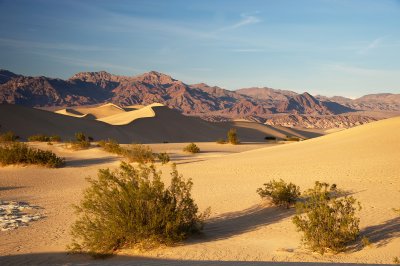 Death Valley Dunes IV