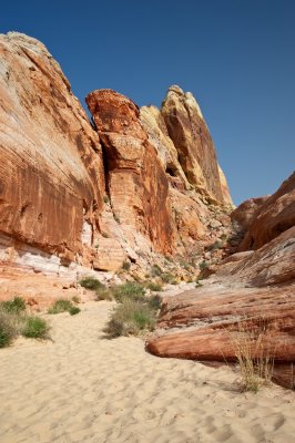 White Domes trail