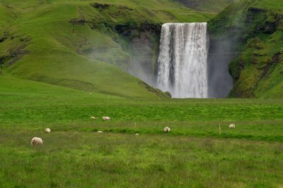 Waterfall with sheep