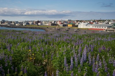 ICELAND