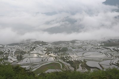 DSC_1819.JPG