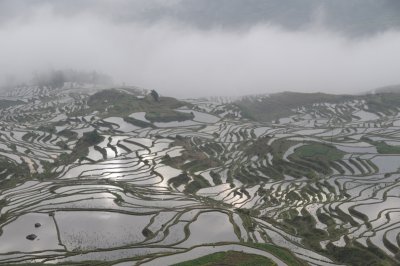 DSC_1823.JPG