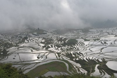 DSC_1908.JPG