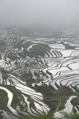 DSC_1922.JPG