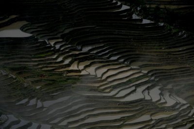 DSC_2015.JPG