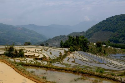 DSC_2031.JPG