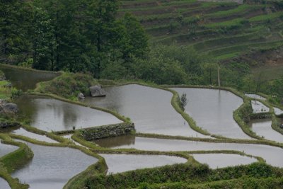 DSC_2106.JPG