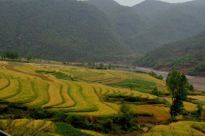 DSC_3064.JPG