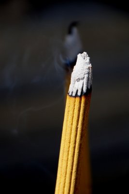 DSC_3496.JPG